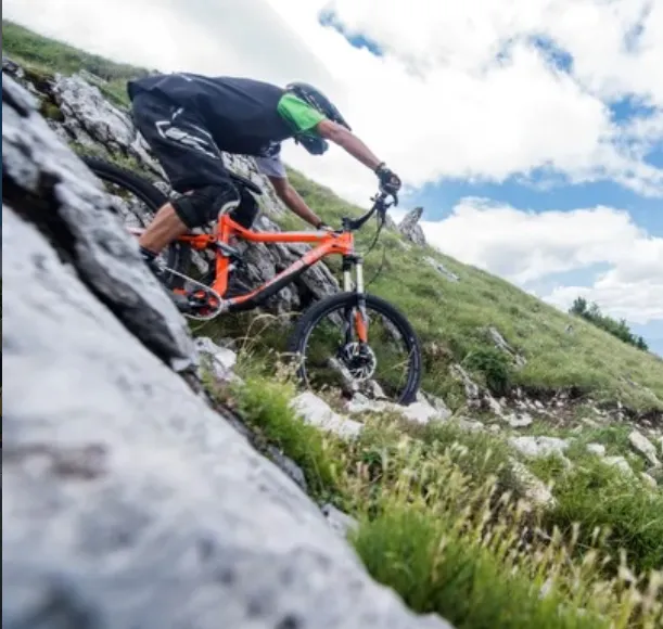 Location VTT Journée (unique)